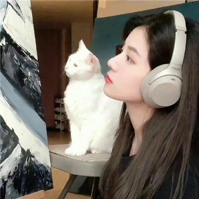 两只小猫的故事