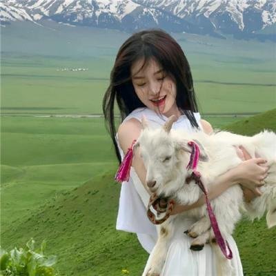 奥迈耶的痴梦